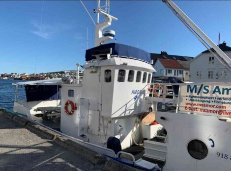Flott strukturert skøyte selges (for kunde) - Bilde 10